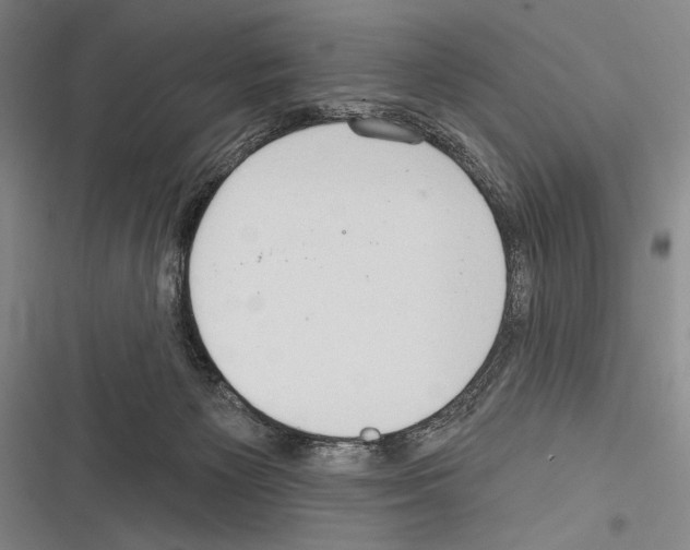 X0000116320125201001131011