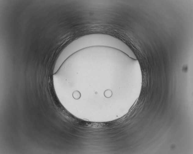 X0000116320128201001131011