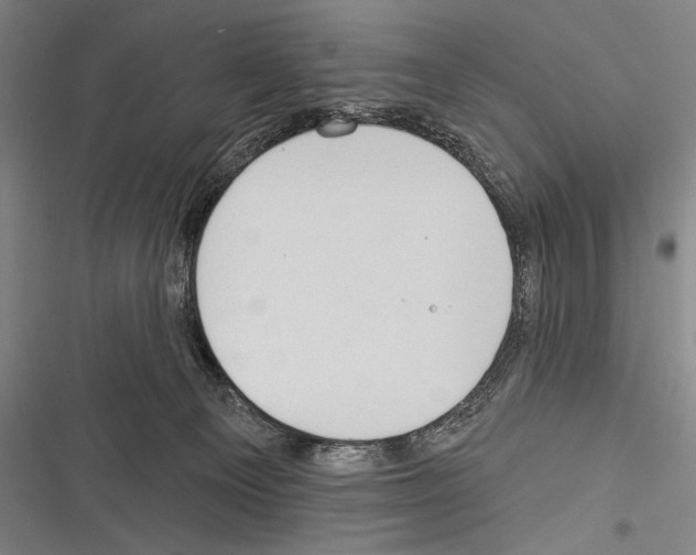 X0000116320129201001131011