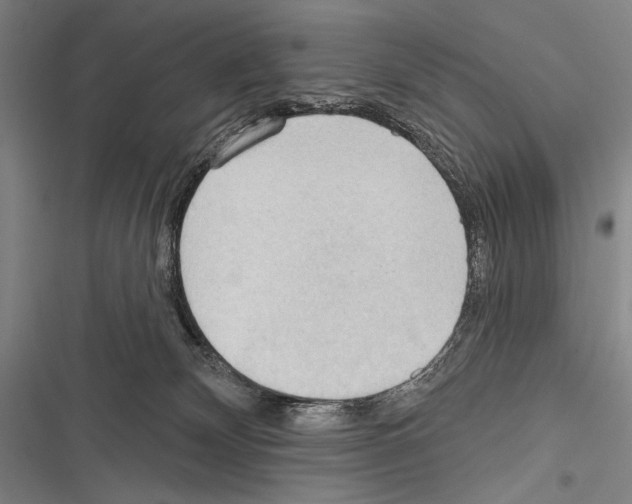 X0000116320132201001131011