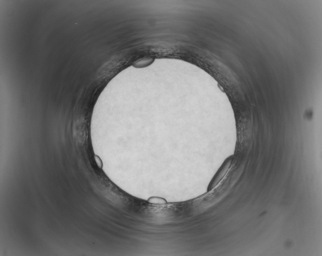 X0000116320136201001131011