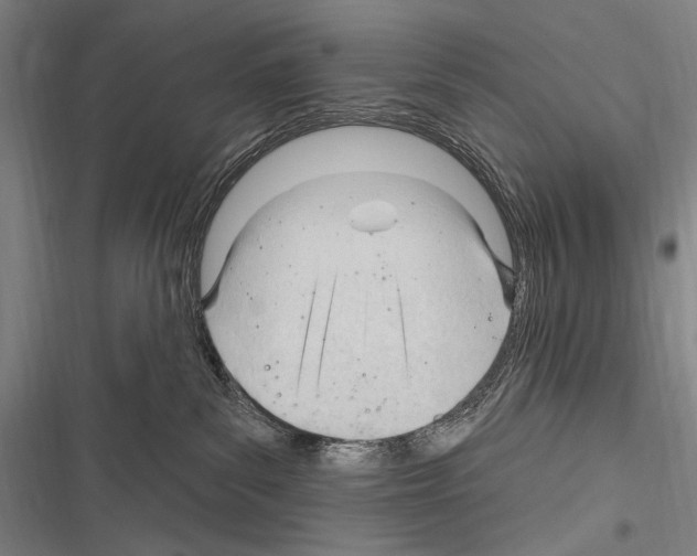 X0000116320139201001131011