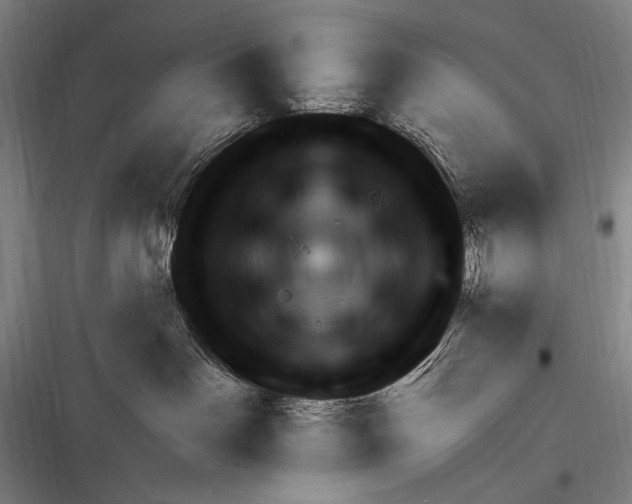 X0000116320142201001131011