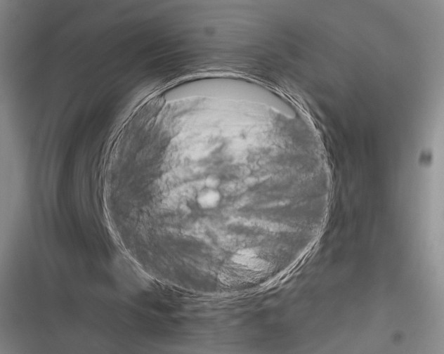 X0000116320145201001131010