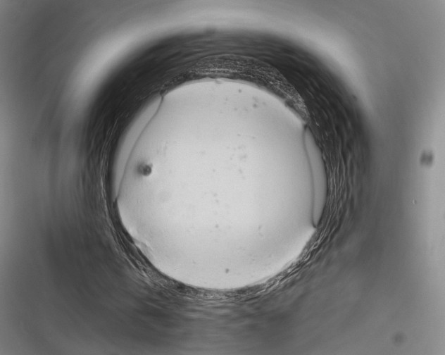 X0000116320146201001131010