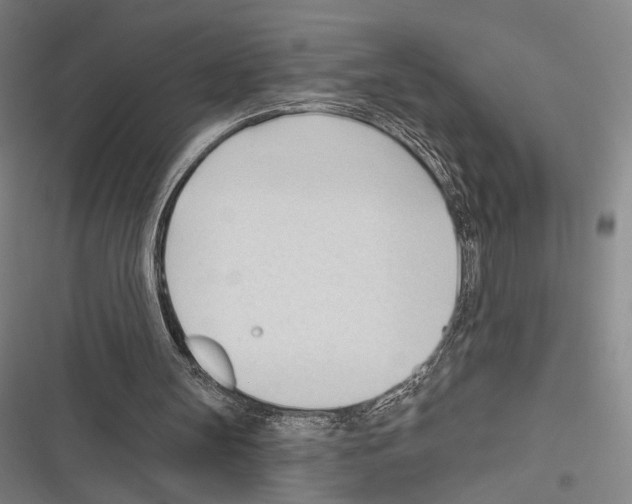 X0000116320147201001131010