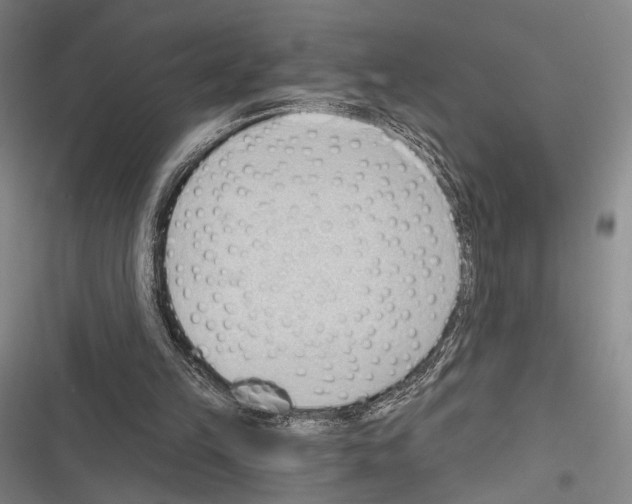 X0000116320149201001131010