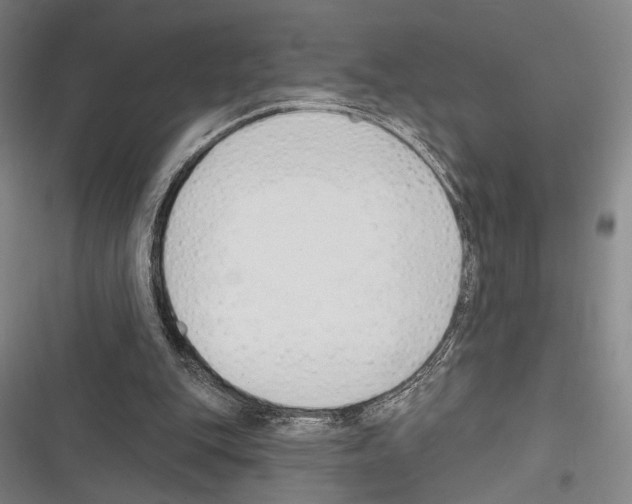 X0000116320151201001131010