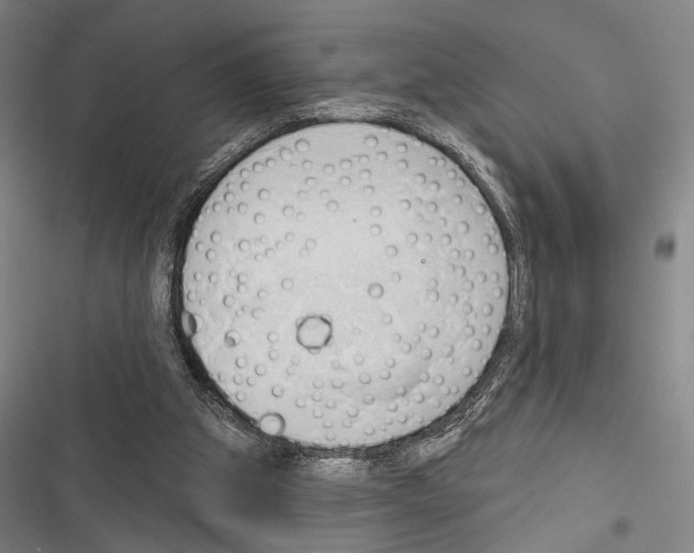 X0000116320153201001131011