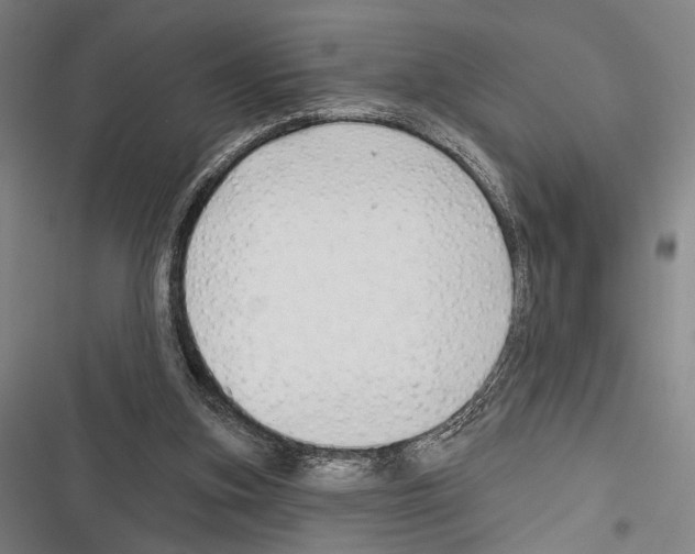 X0000116320155201001131011