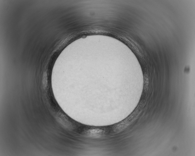 X0000116320158201001131011