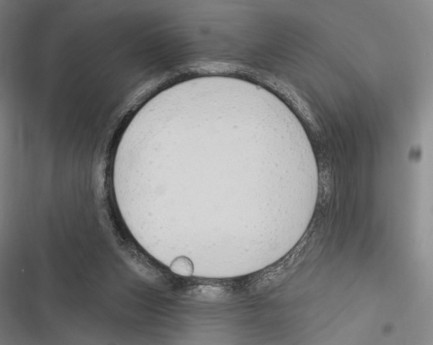 X0000116320159201001131011