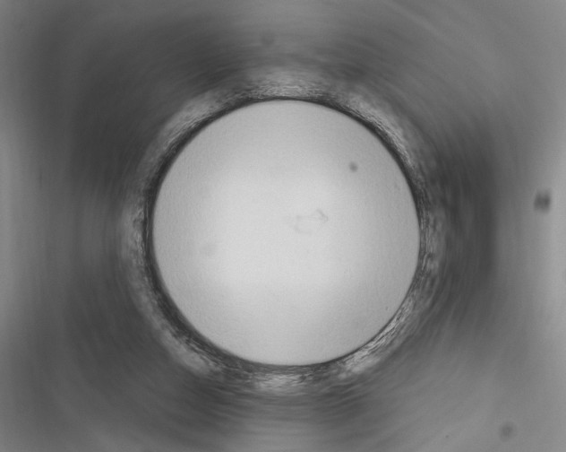 X0000116320162201001131011