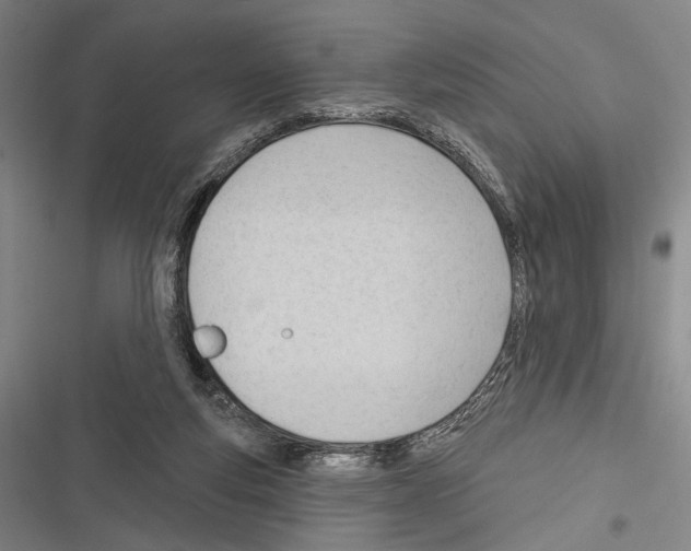 X0000116320163201001131011