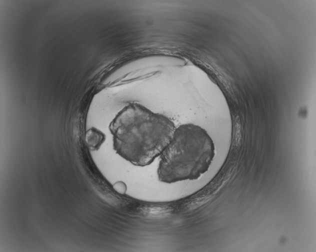 X0000116320165201001131011