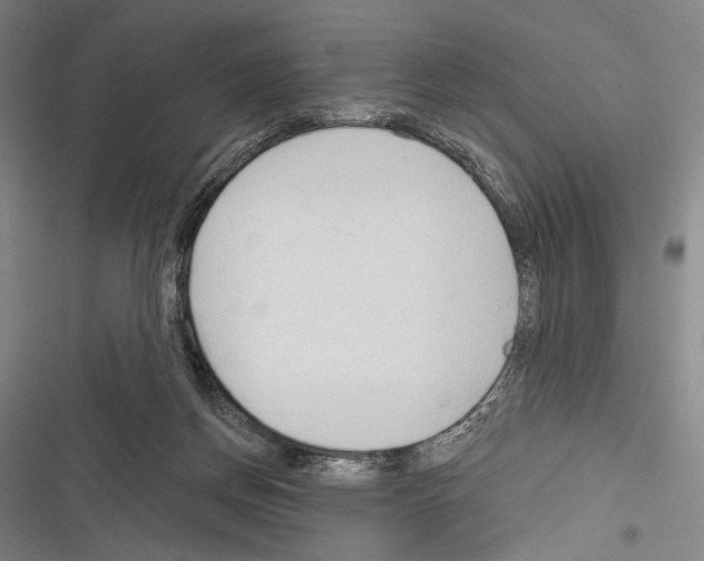 X0000116320166201001131011