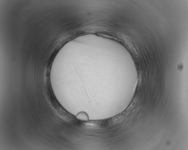 X0000116320167201001131011