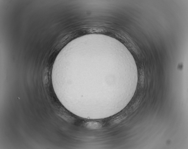 X0000116320169201001131011