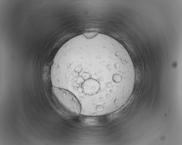 X0000116320171201001131011