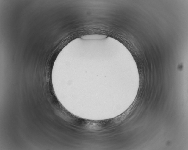 X0000116320174201001131011