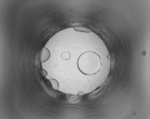 X0000116320175201001131011