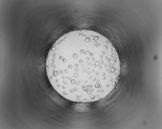 X0000116320179201001131011