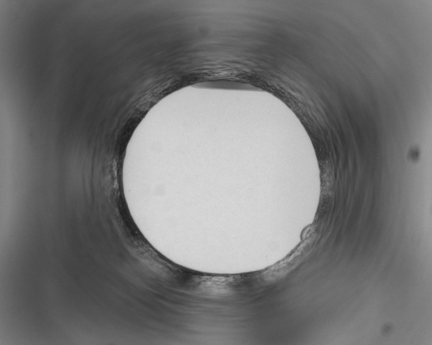 X0000116320182201001131011