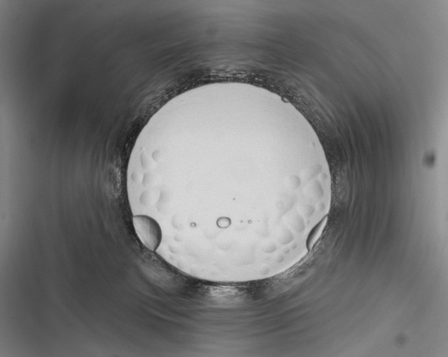 X0000116320183201001131011