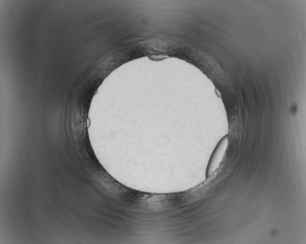 X0000116320186201001131011