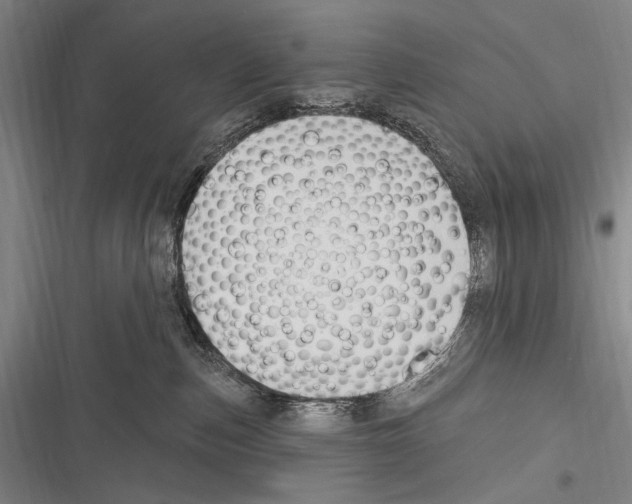 X0000116320187201001131011