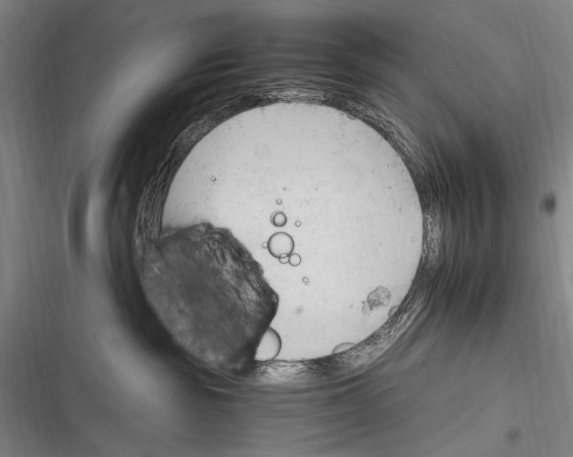 X0000116320189201001131011