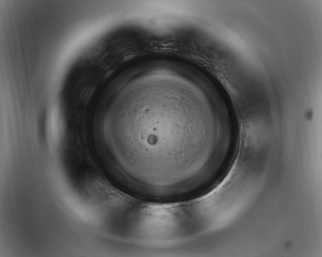 X0000116320190201001131011