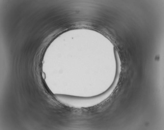 X0000116320193201001131010