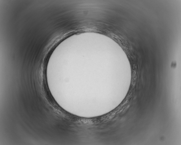 X0000116320194201001131010