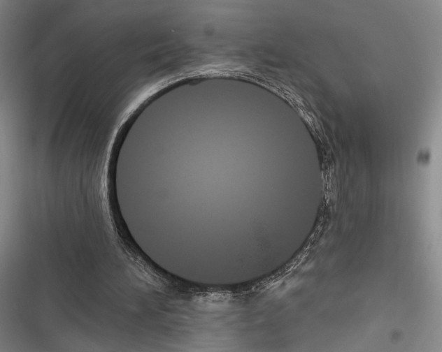 X0000116320196201001131010