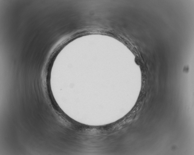 X0000116320197201001131010