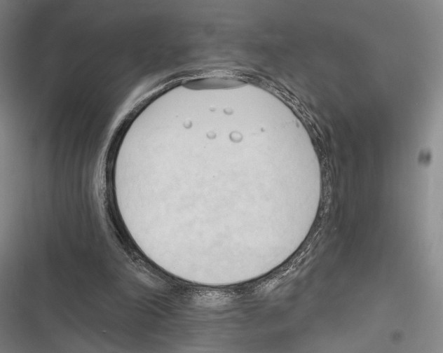 X0000116320198201001131010