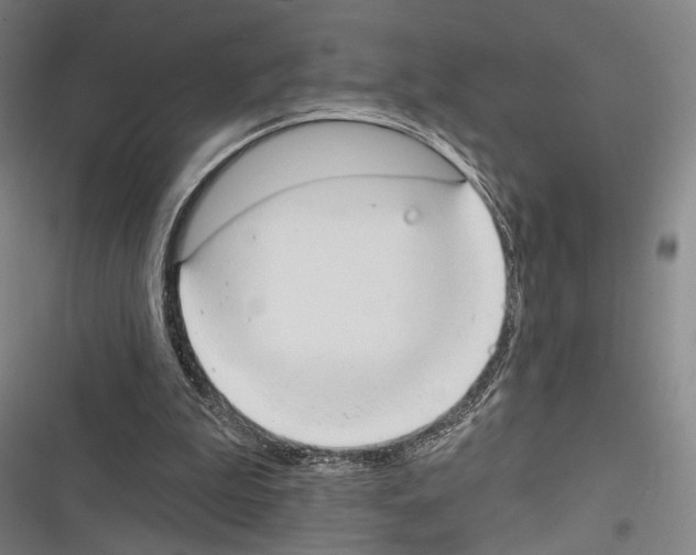 X0000116320199201001131010