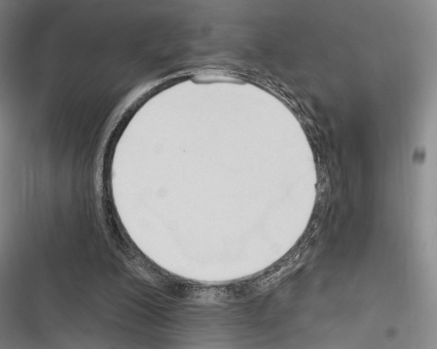 X0000116320200201001131010