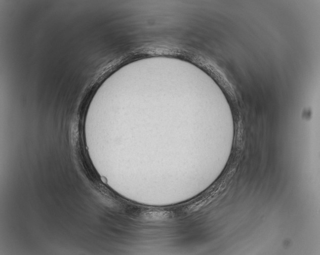 X0000116320202201001131010