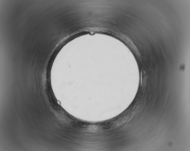 X0000116320204201001131010