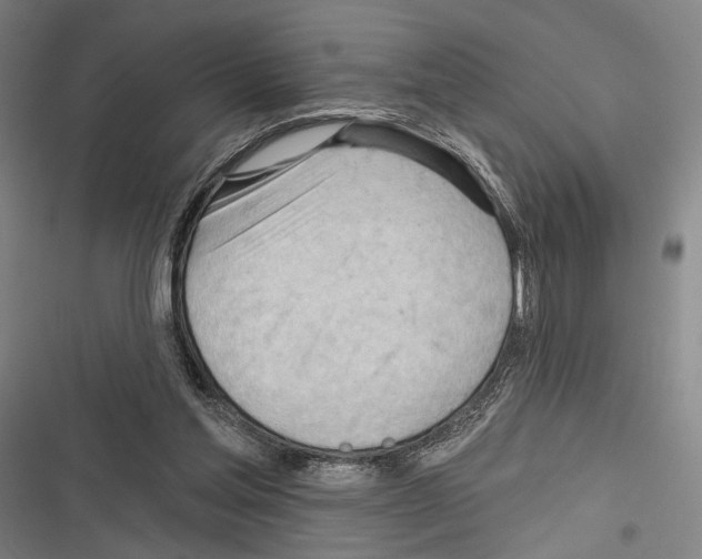 X0000116320205201001131010