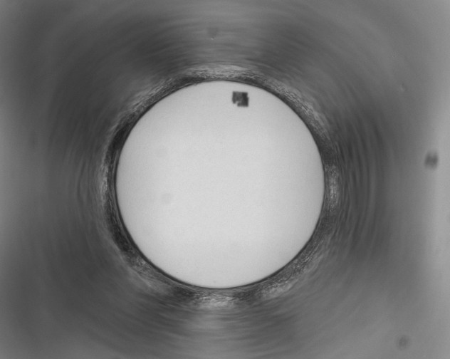 X0000116320206201001131010