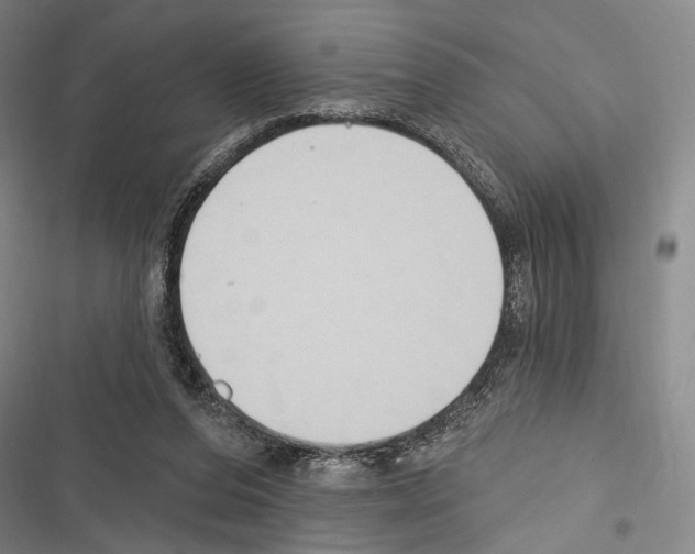 X0000116320208201001131010