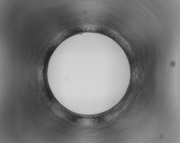 X0000116320209201001131010