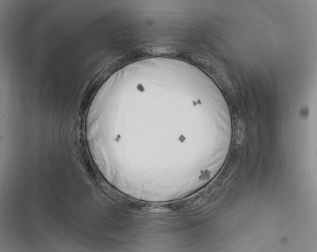 X0000116320210201001131010