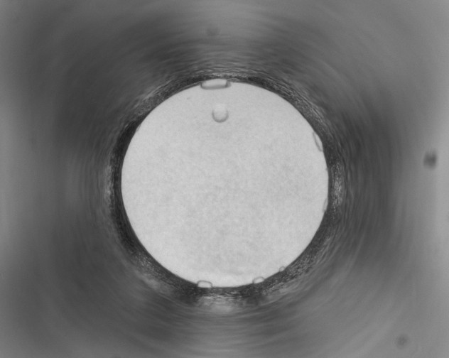 X0000116320211201001131010