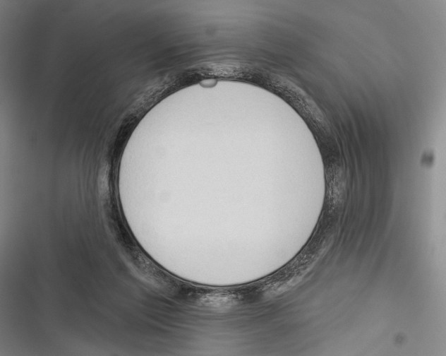 X0000116320213201001131010