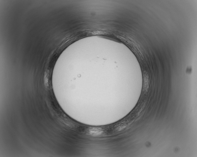 X0000116320214201001131010