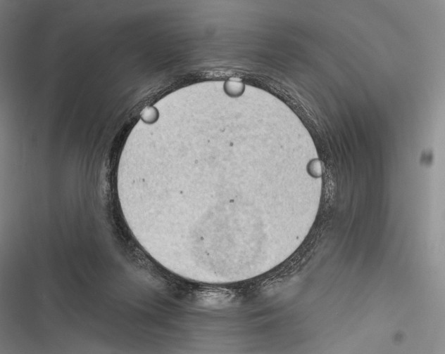 X0000116320215201001131010